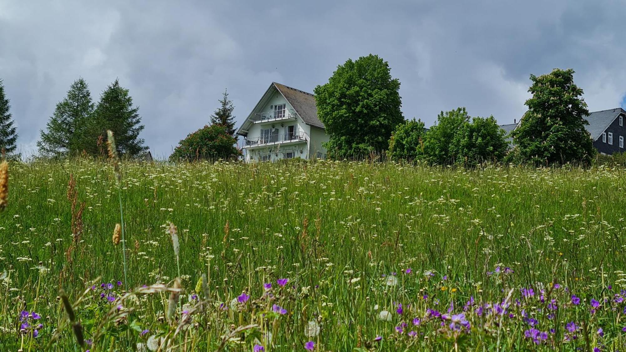 Pension Breitenborn Masserberg Exteriör bild